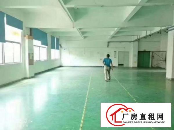  新出原房东独院厂房1至3层4500平