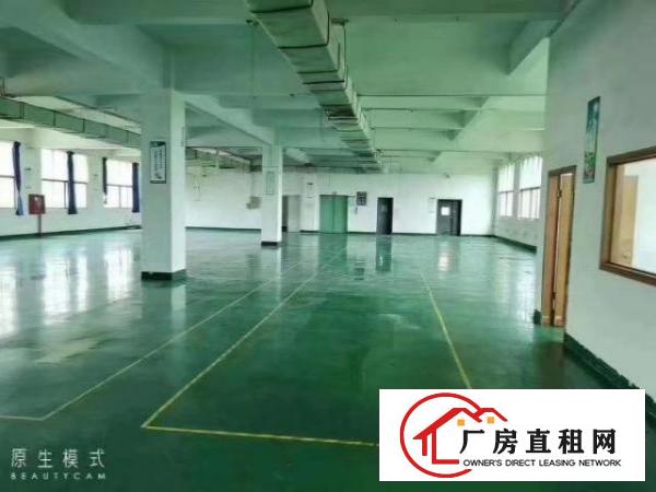  新出原房东独院厂房1至3层4500平