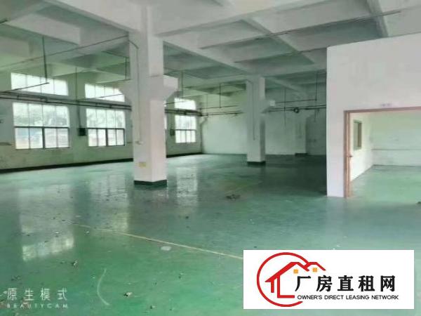  新出原房东独院厂房1至3层4500平