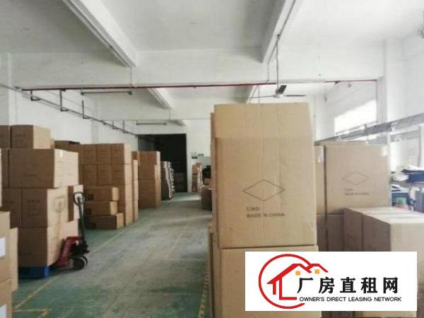  石岩汽车站1楼带装修厂房650平出租，拎包入住，适合电子