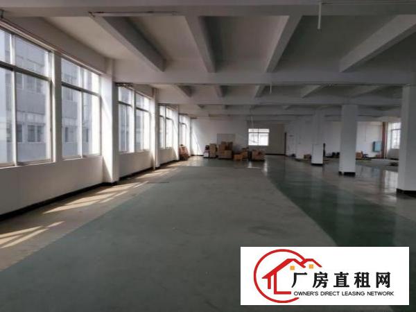  石岩应人石楼上厂房900方招租，带地坪漆，配电大