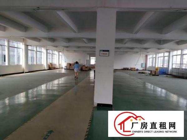  石岩应人石楼上厂房900方招租，带地坪漆，配电大