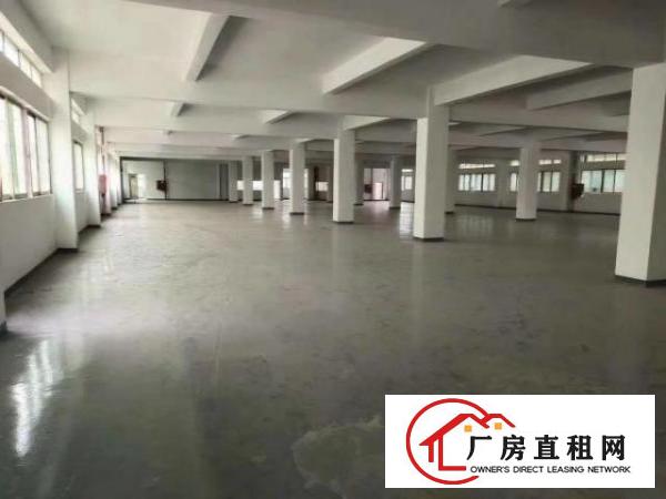  石岩上排原房东1200平方厂房招租