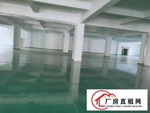  石岩上排原房东1200平方厂房招租