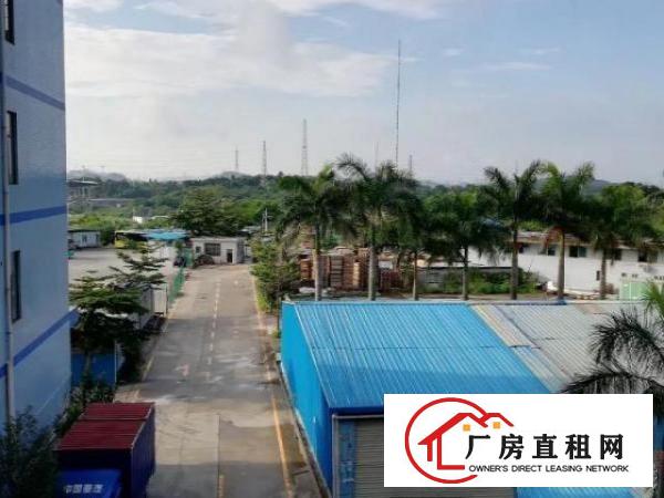  自建厂房出租，带装修