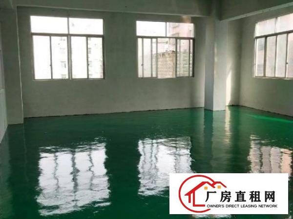  贸易公司新装修厂房700多平米，分租200－500厂房