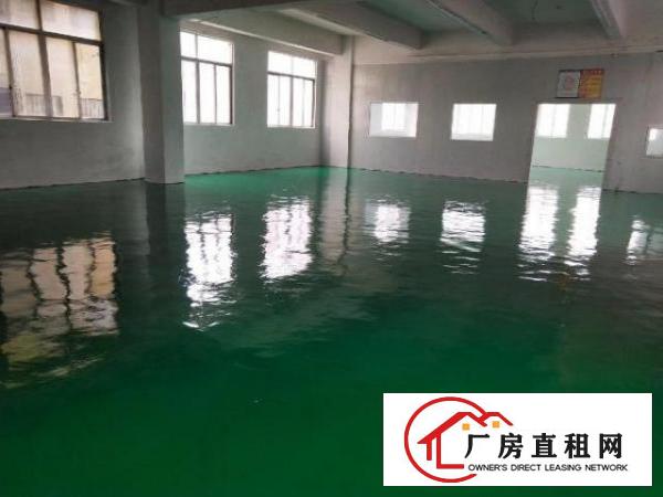  石岩汽车站附近新装修厂房及办公室200－60租