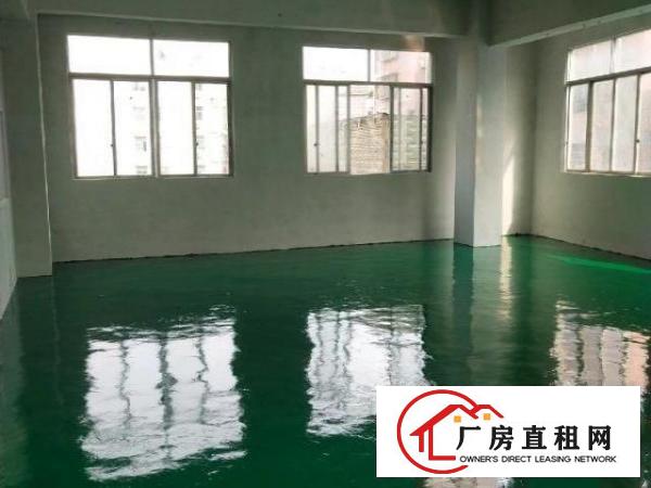  石岩汽车站附近新装修厂房及办公室200－60租
