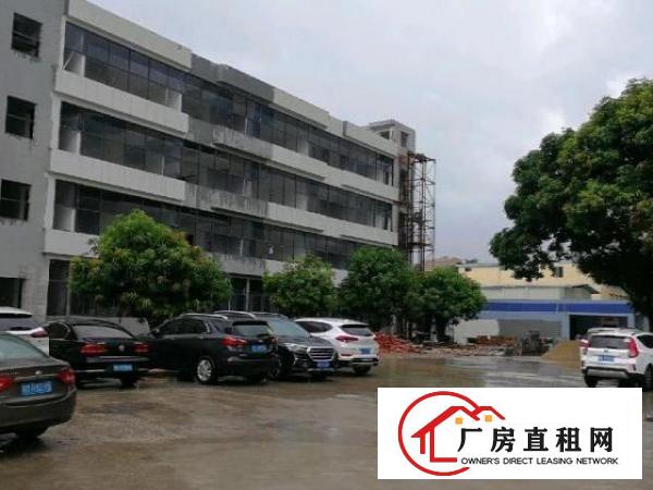  石岩北环主干道，原房东独院厂房，
