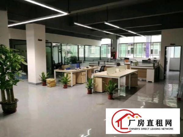  石岩LED办公室出租