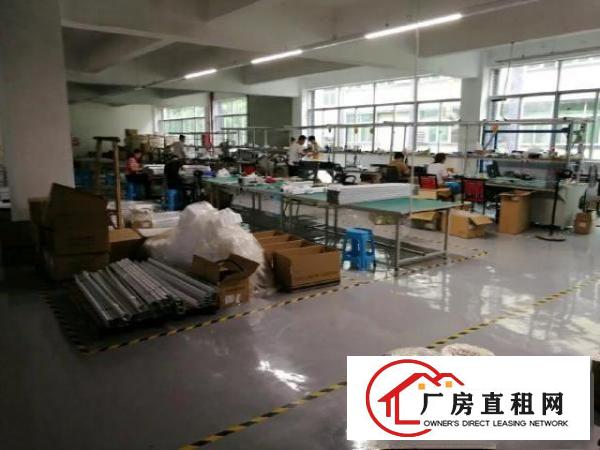  石岩LED厂房分租里面的办公室及卡位