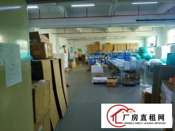  石岩北环路240平带装修厂房出租