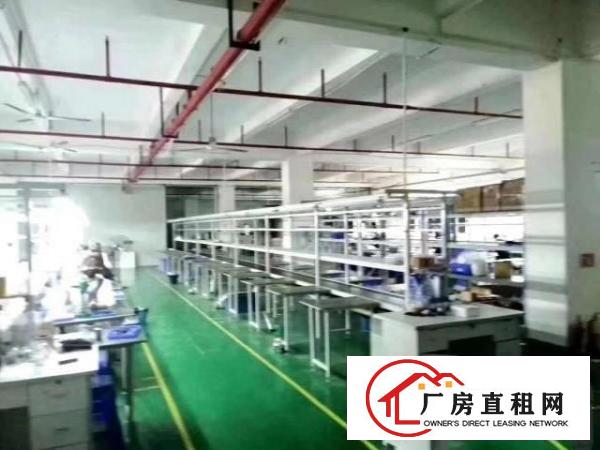  原房东，地铁口附近2000平标准厂房，周边配套齐全