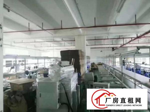 原房东，地铁口附近2000平标准厂房，周边配套齐全