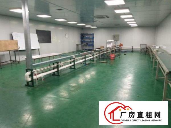  石岩下排一楼500平米厂房招租，带空地，拎包入住