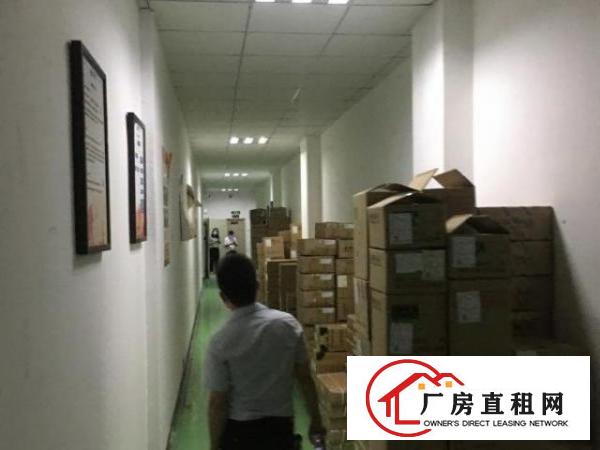  石岩塘头新出3215平精装修厂房出租，无转让费