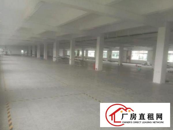  石岩大型工业园新出独门独院独栋厂房5200平方出租