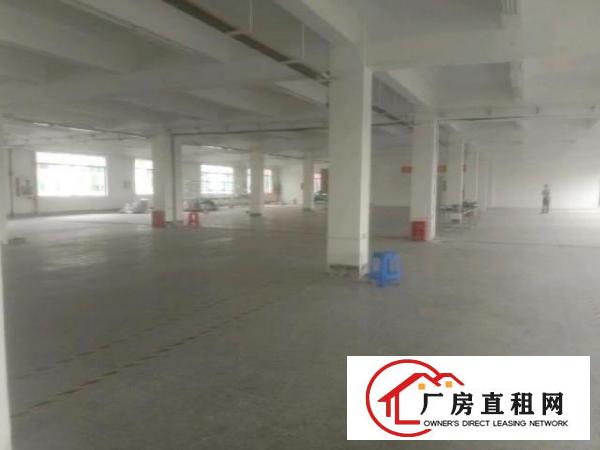  石岩大型工业园新出独门独院独栋厂房5200平方出租