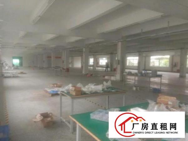  石岩大型工业园新出独门独院独栋厂房5200平方出租
