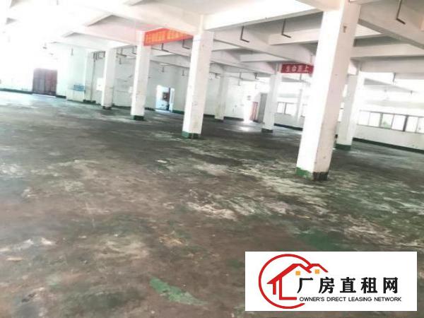  应人石原房东一楼1200平方实际面积出租，现成办公室加车间