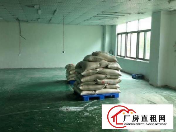  无尘车间。通水电出租
