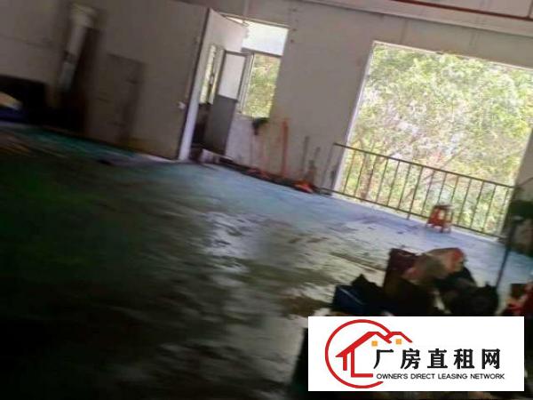  石岩石龙仔工业区厂房分租