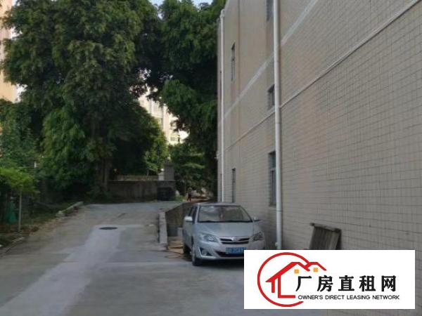  原业主房东出租石岩水田厂房，空地大，1150平，租19元