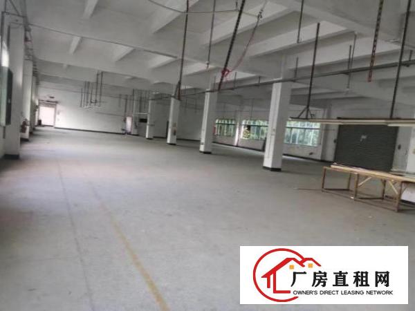  原业主房东出租石岩水田厂房，空地大，1150平，租19元