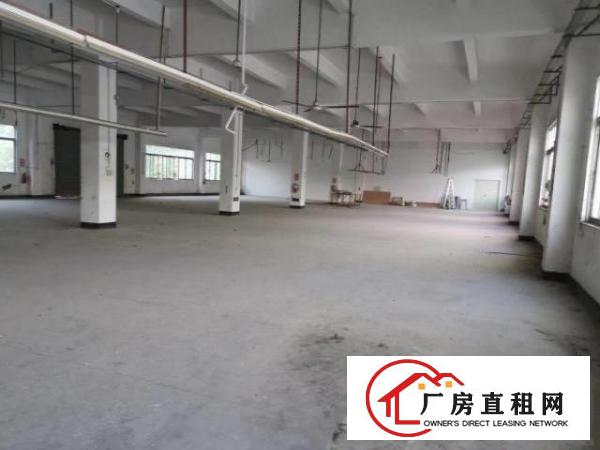  原业主房东出租石岩水田厂房，空地大，1150平，租19元