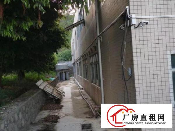  原业主房东出租石岩水田厂房，空地大，1150平，租19元