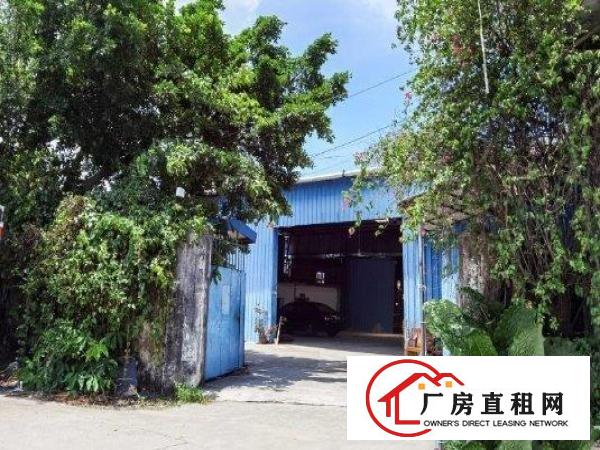  新出独门独院钢构厂房2000平