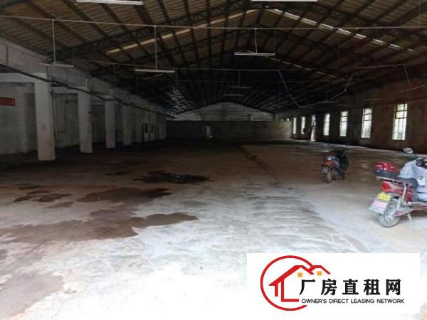  业主直租一楼钢构厂房，临近高速路口