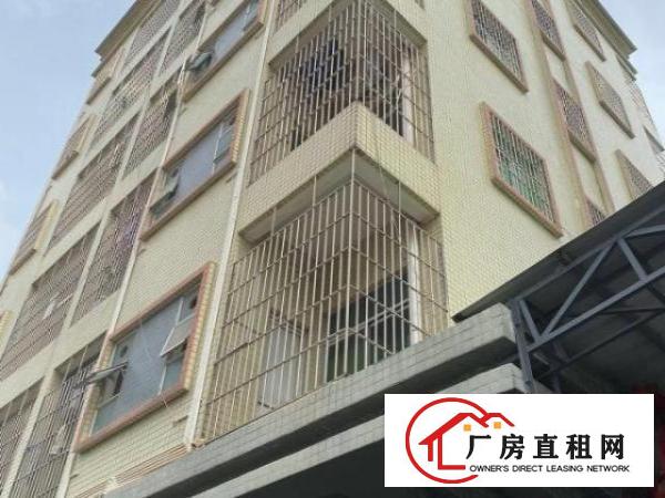  一手房东，准新厂房，独门独院。