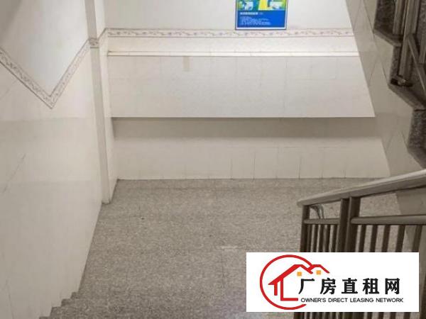  一手房东，准新厂房，独门独院。