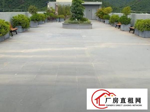  一手房东，准新厂房，独门独院。