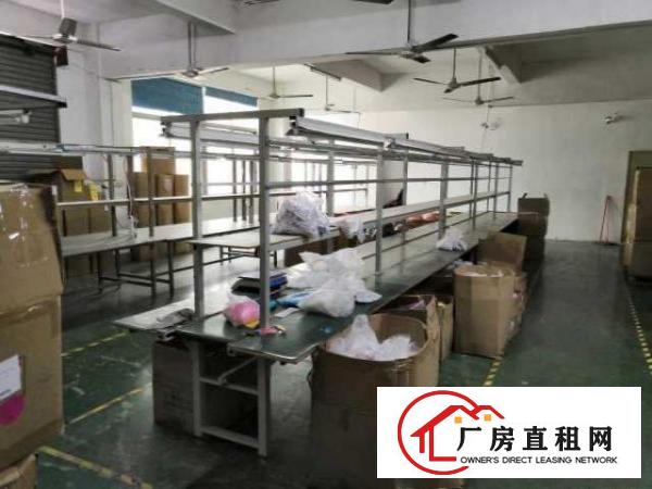  出租宝安石岩塘头三联工业园豪华装修厂房700平方