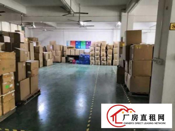  出租宝安石岩塘头三联工业园豪华装修厂房700平方