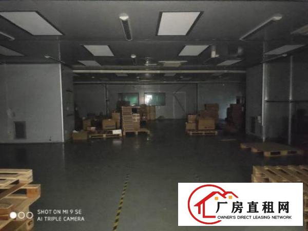  石岩水田第四新出无尘车间1415平，无转转费
