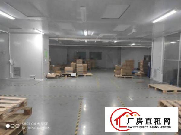  石岩水田第四新出无尘车间1415平，无转转费