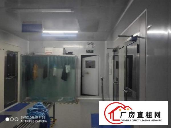  石岩水田第四新出无尘车间1415平，无转转费