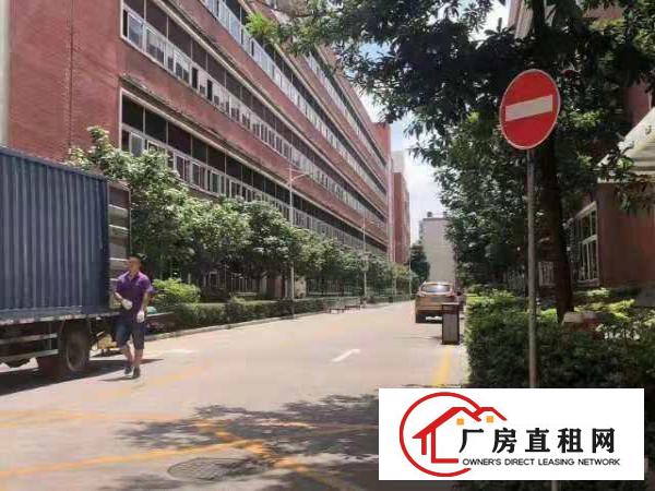  机荷高速附近，在主干道松柏路旁边