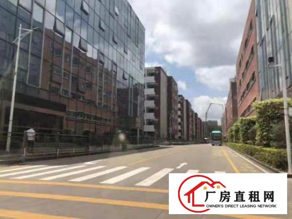  机荷高速附近，在主干道松柏路旁边