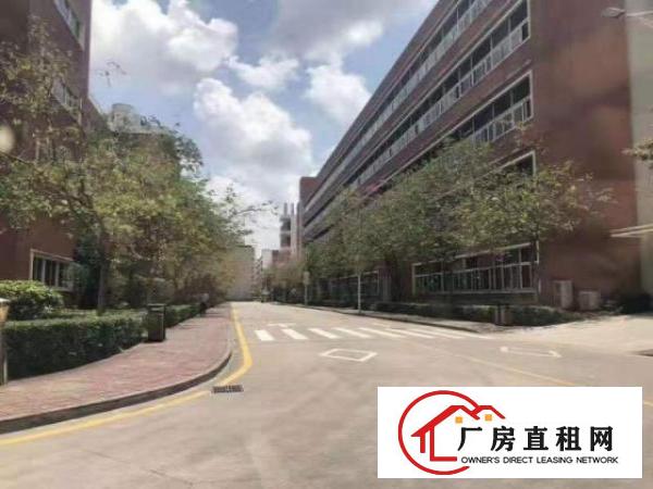  机荷高速附近，在主干道松柏路旁边