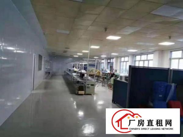  石岩浪心社区一楼1250平方带装修办公室厂房出租