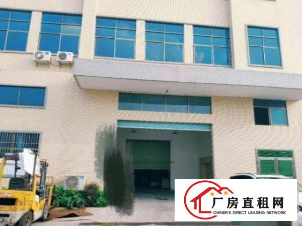  石岩石岩社区一楼1200平厂房出租高6米精装修办公