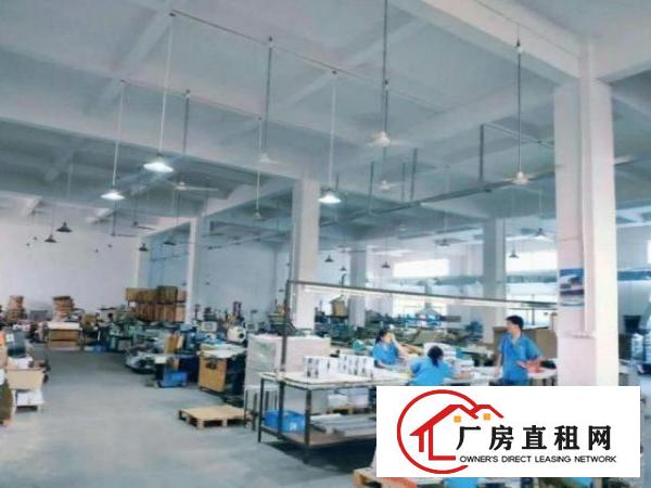  石岩石岩社区一楼1200平厂房出租高6米精装修办公