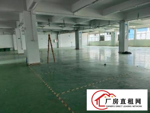  石岩水田新时代工业区带装修1300平方厂房转租