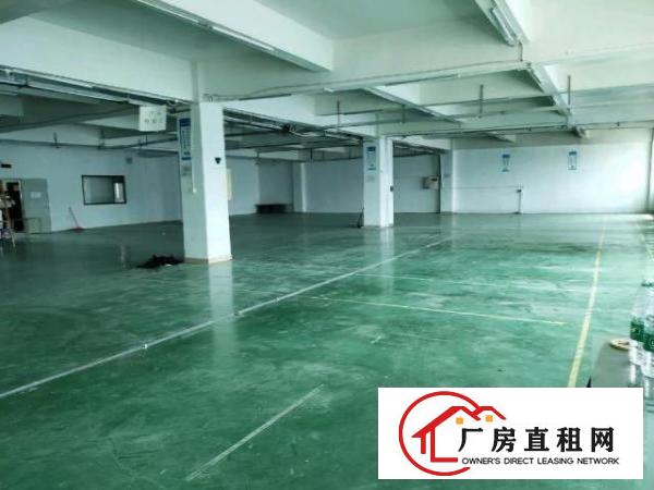  石岩水田新时代工业区带装修1300平方厂房转租