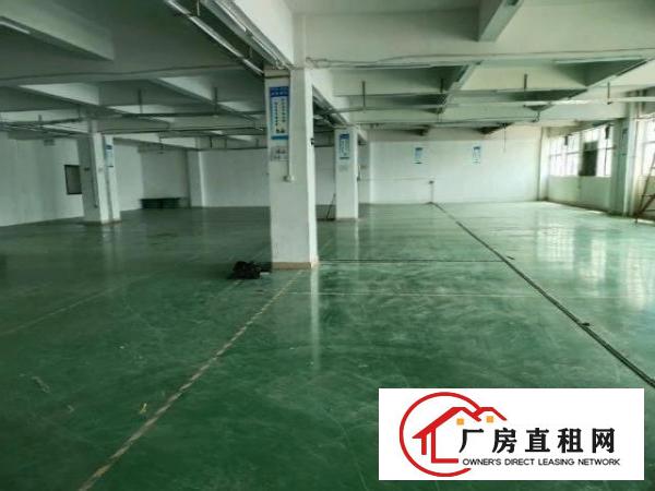  石岩水田新时代工业区带装修1300平方厂房转租