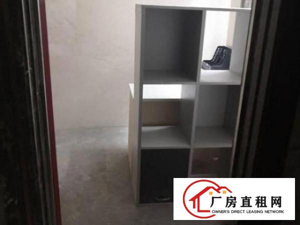  宝安石岩伟泰工业园2400平丶钢构厂房出租（红本丶房东直租）